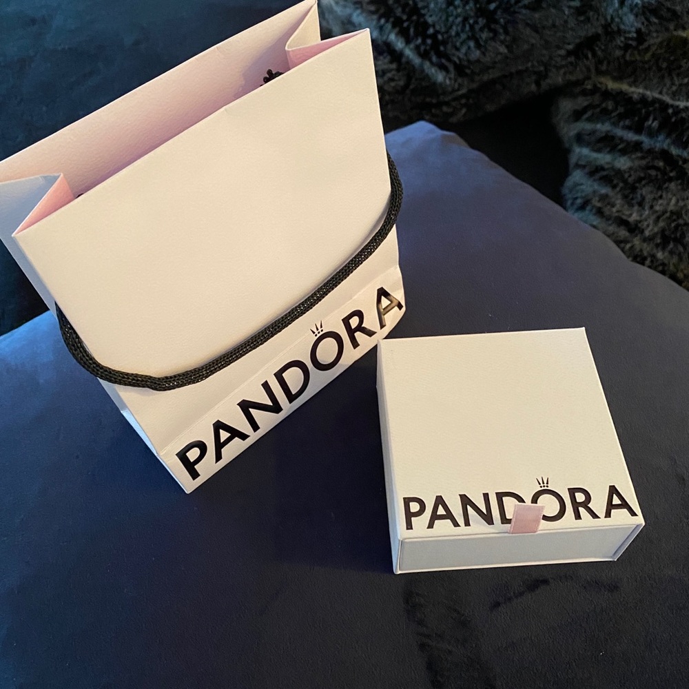 Pandora bracelet w 15 unique & rare charms from across the globe + two spacers